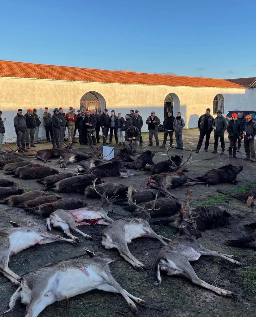 Montería en Fuente Los Novillos