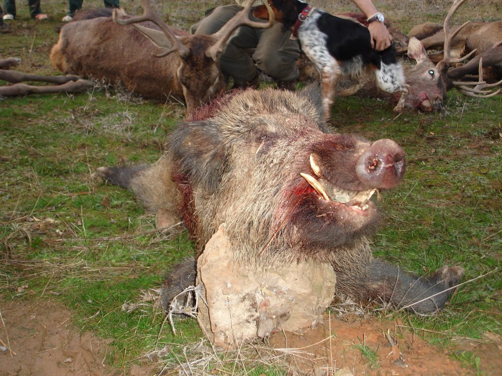 Montería en Lagunas.