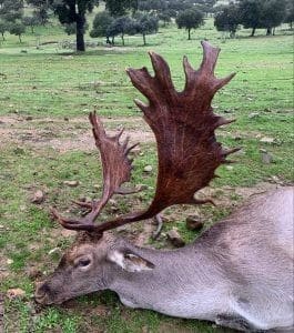 Montería en Merinos de Poniente y El Vaqueril