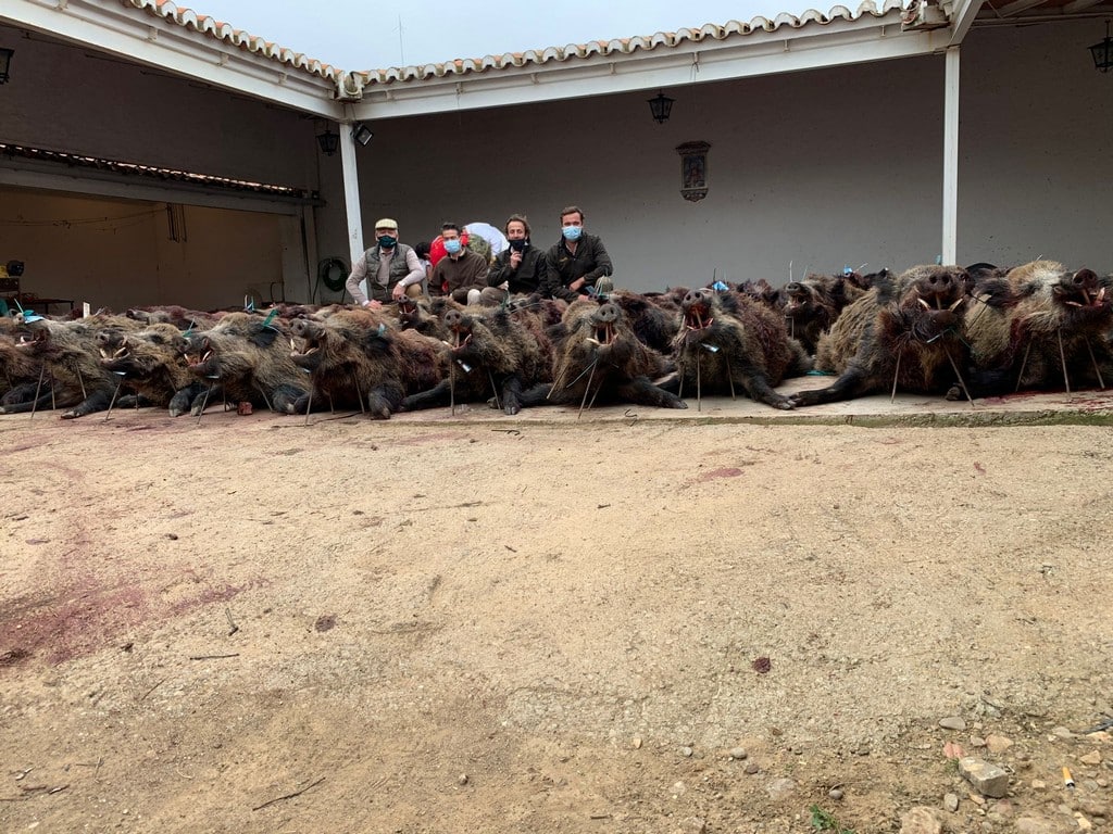 Montería en Encomienda de Mochuelos