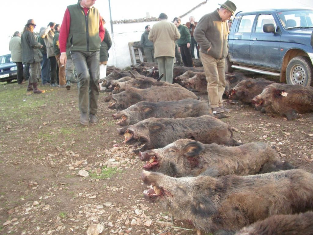 Montería en El Cerro