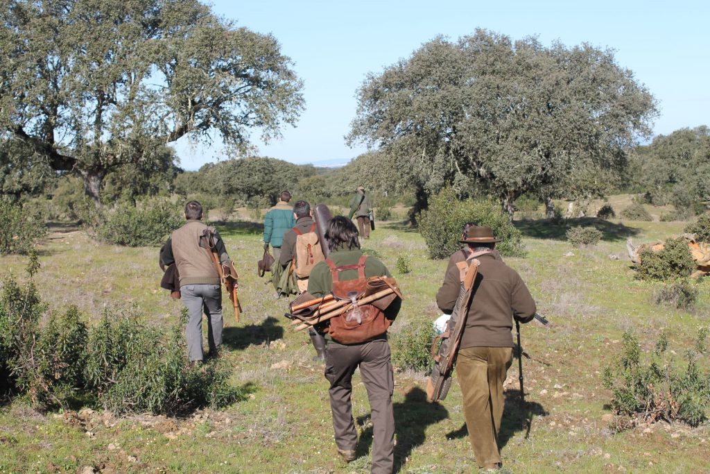 Montería en Misericordia