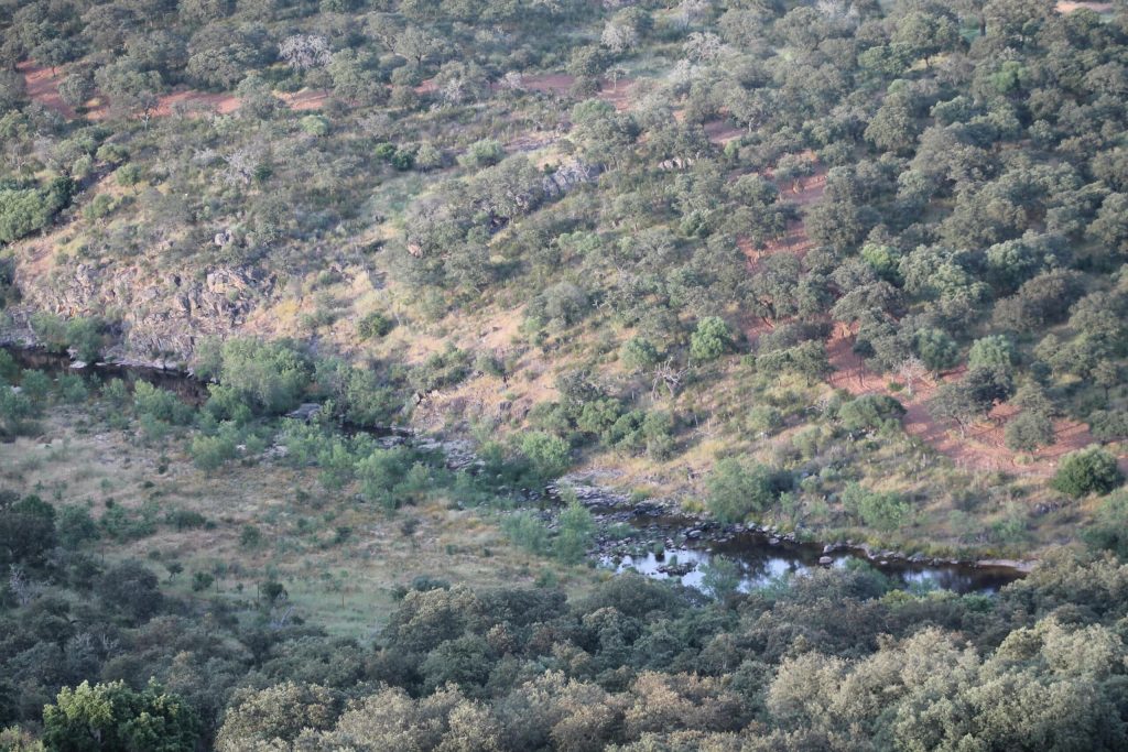 Montería en Malueñillo