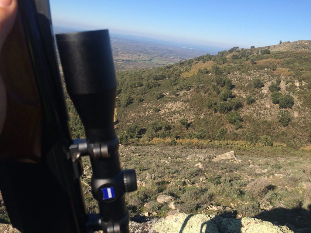 Montería en Los Madroños