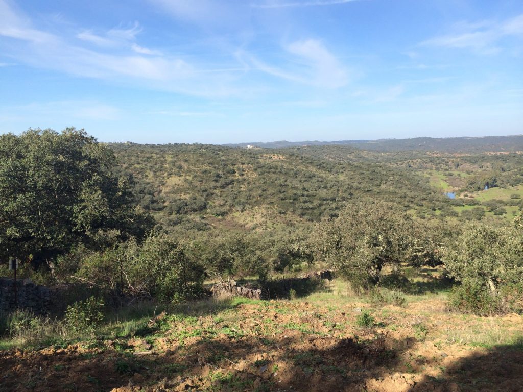 Montería en La Breña