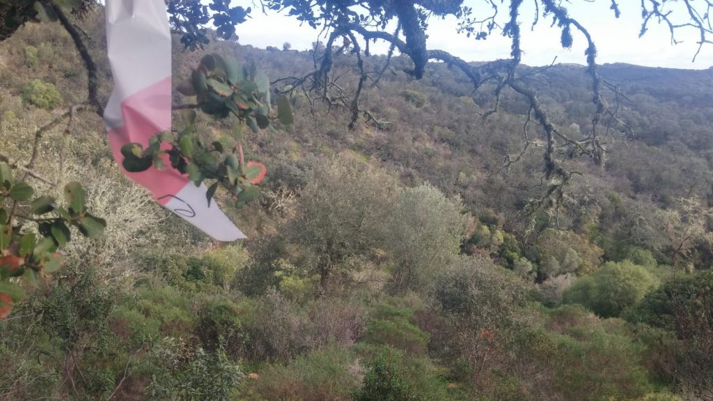 Montería en Hernán Sánchez