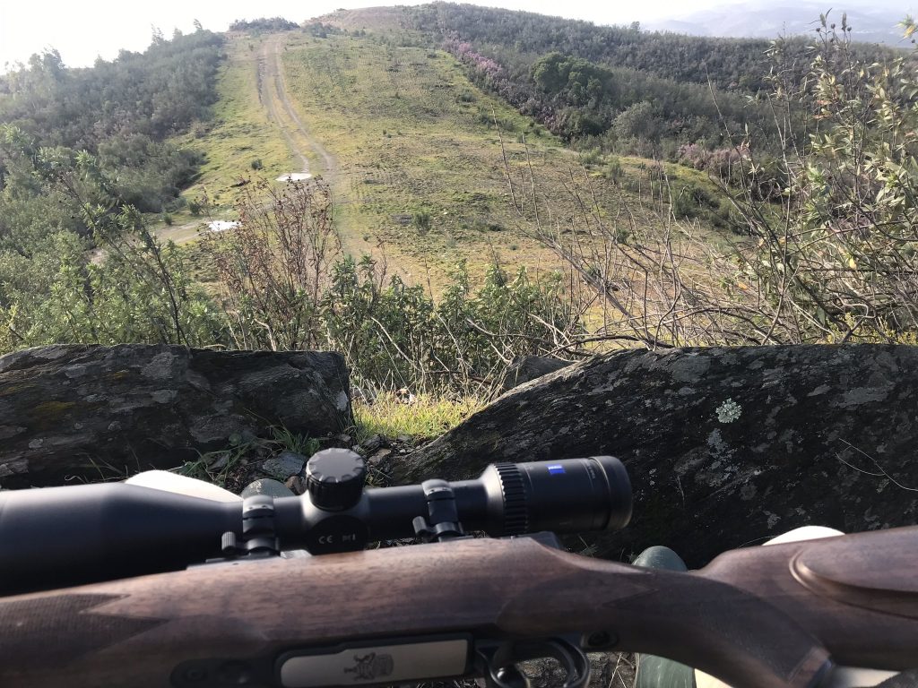 Montería en Los Cotillos.