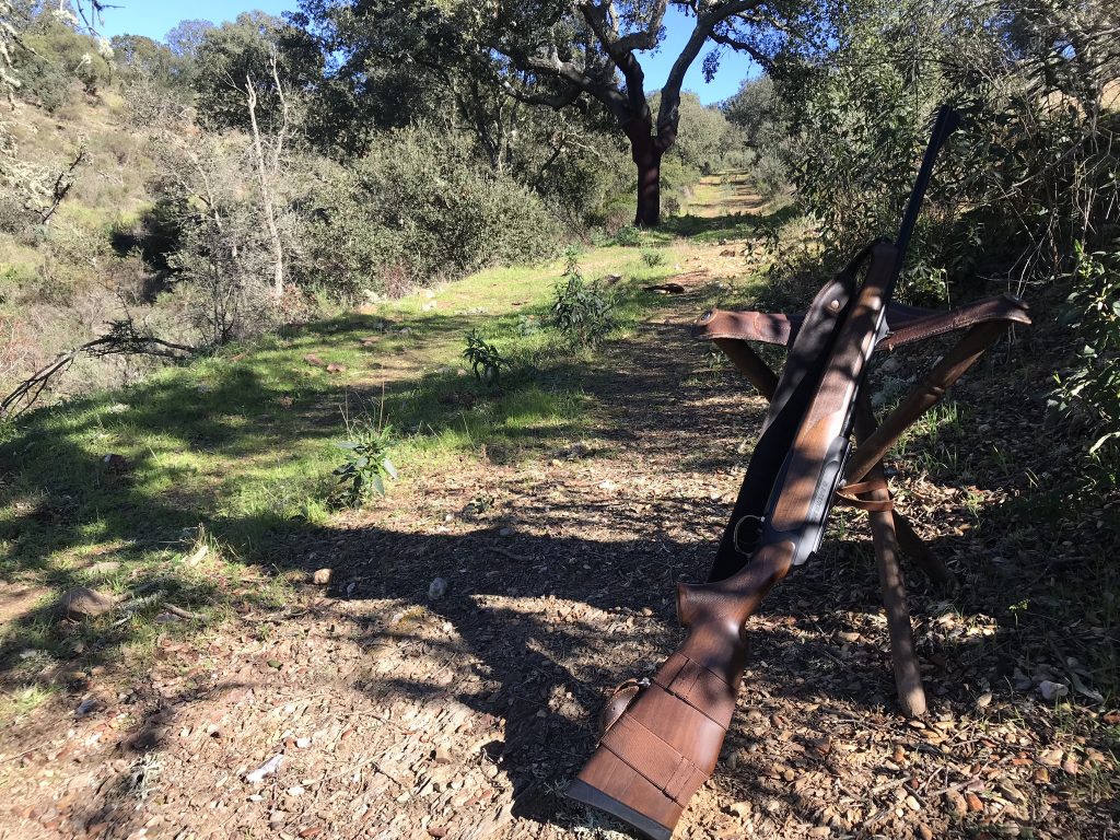 Montería en Cerro del Pantano