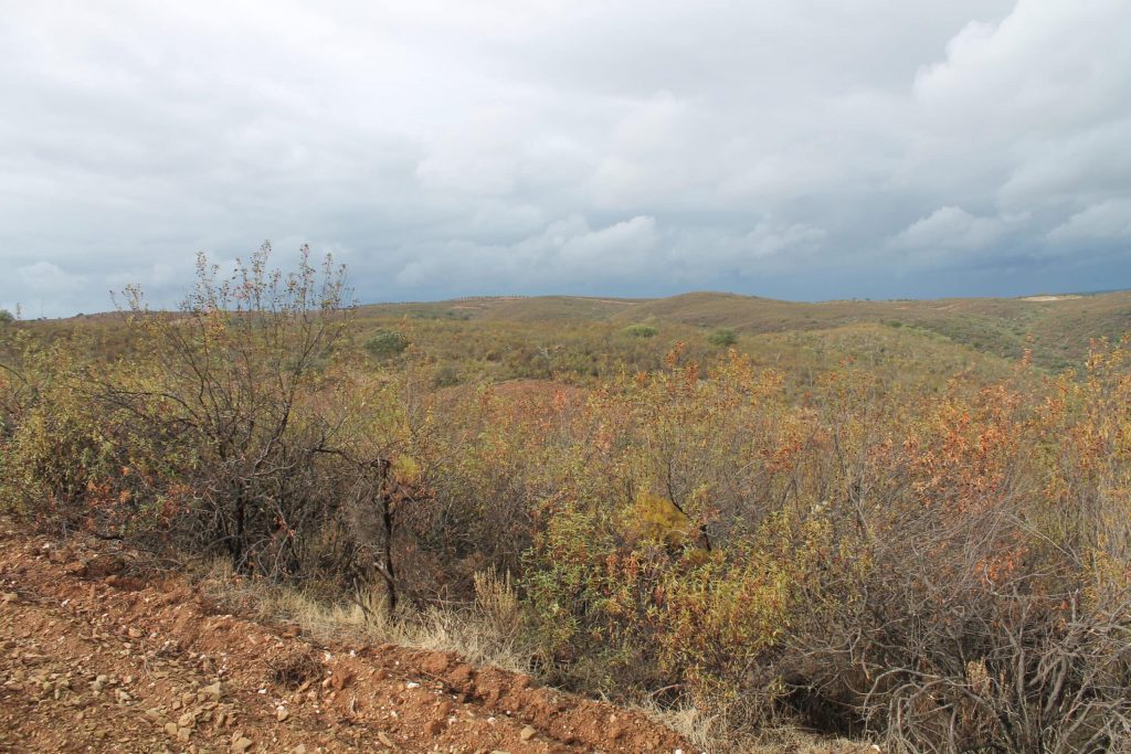 Montería en Peña Horadada II