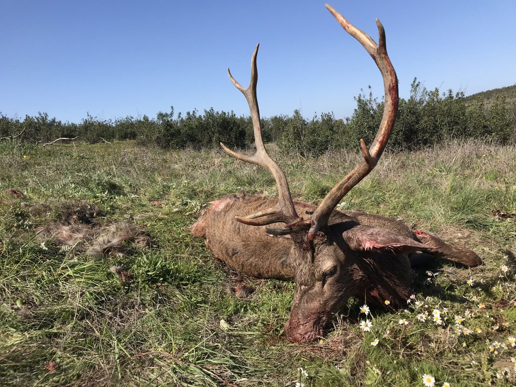 Montería en Los Almendros