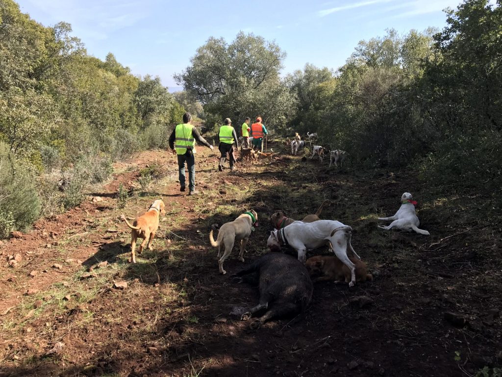 Montería en Los Valles - Torneros