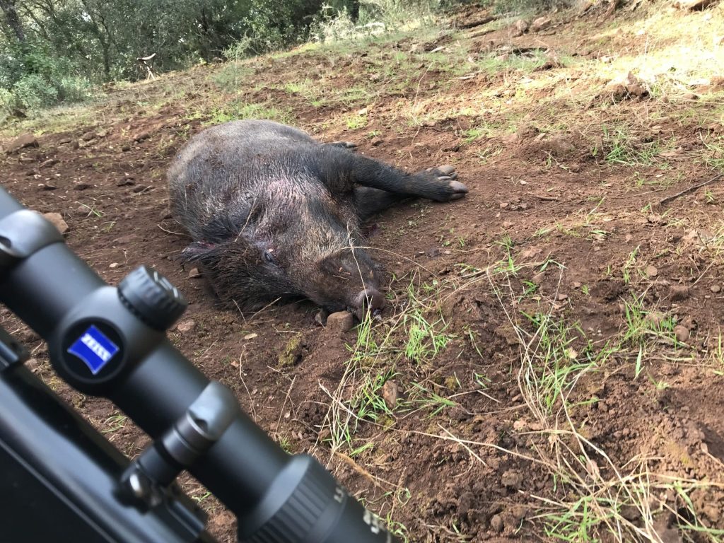 Montería en Jarallana