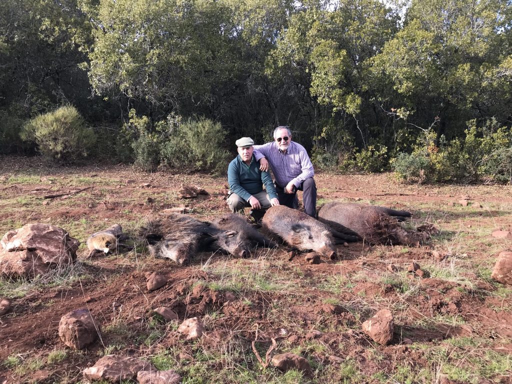 Montería en Valdeciervos