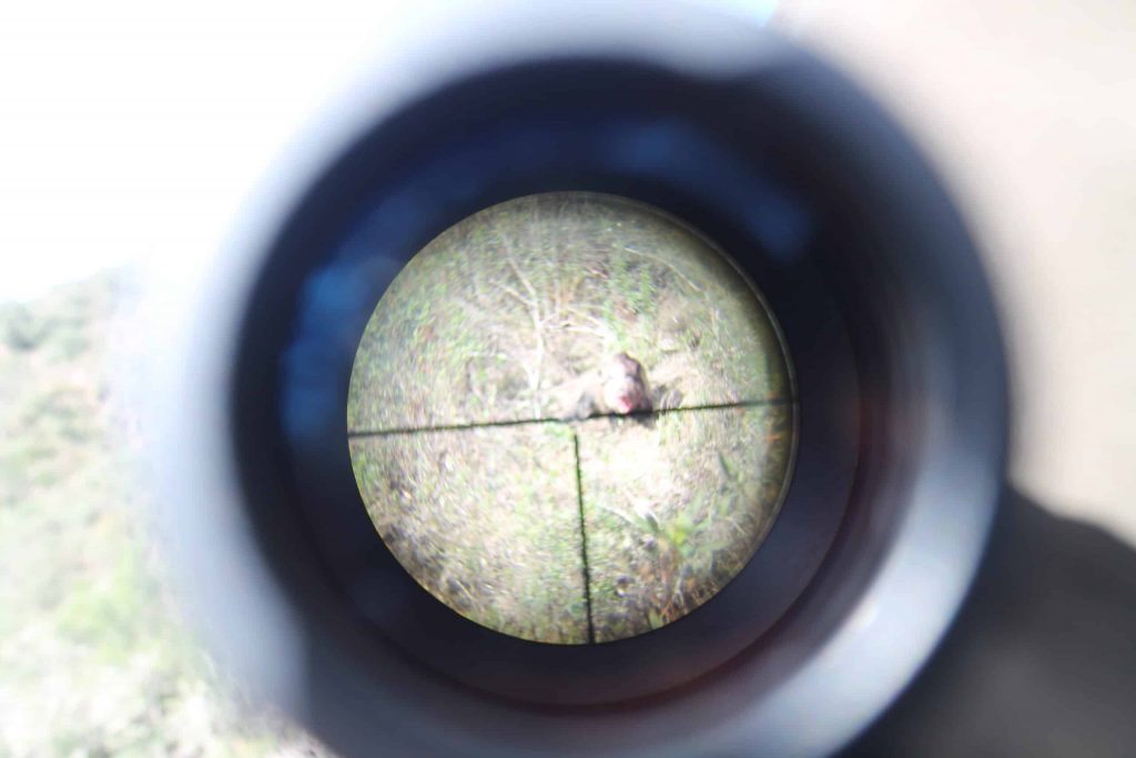 Montería en Morro Centeno