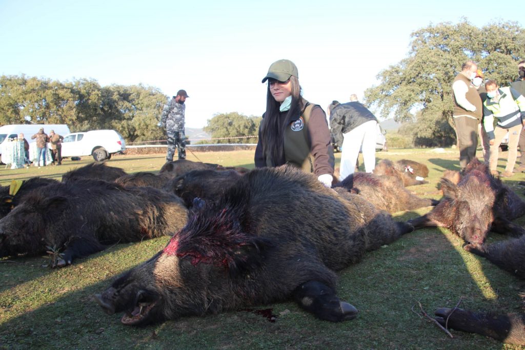 Montería en Valderobles II