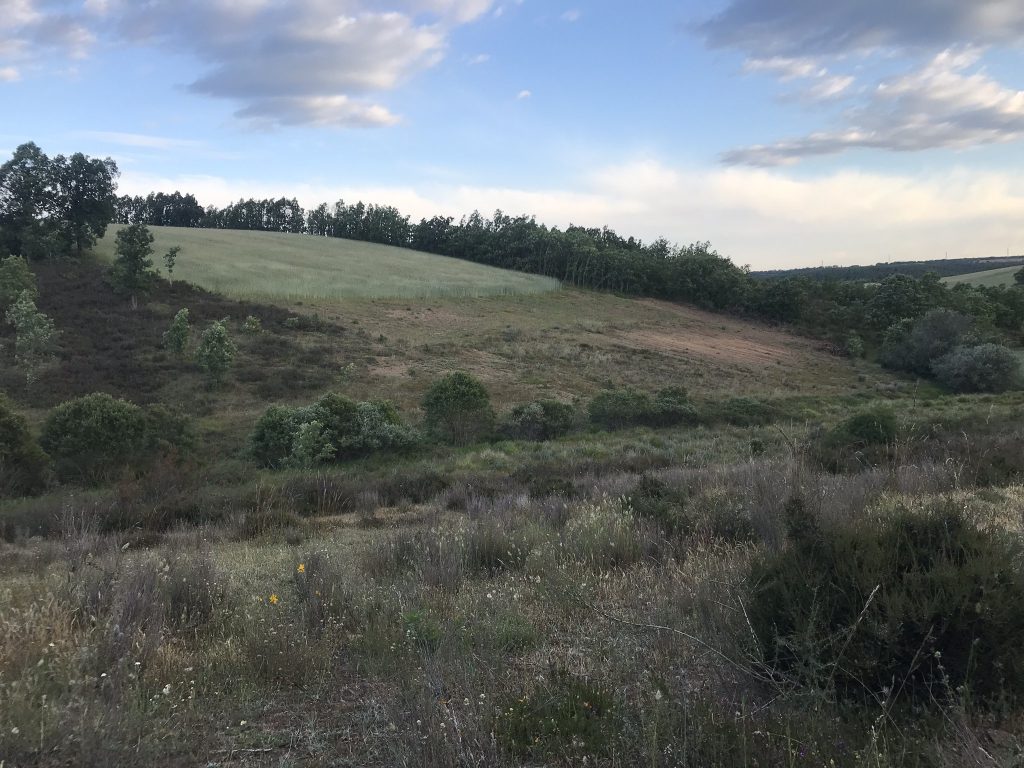 Montería en El Grajo