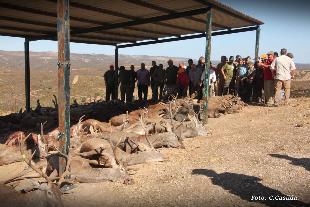 Montería en Valdehombre-La Agapita