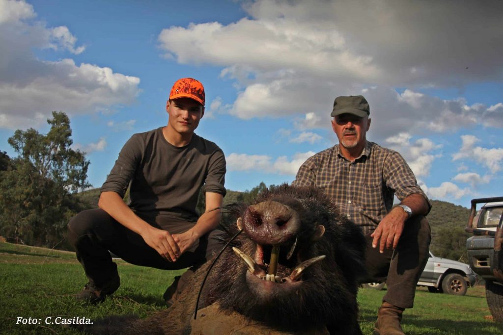 Montería en El Casco