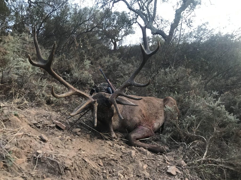Montería en Las Lomas del Cilleruelo