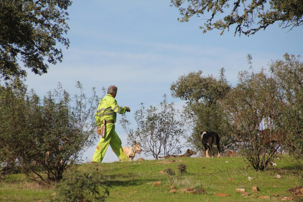 Montería en Ballesteros de Abajo