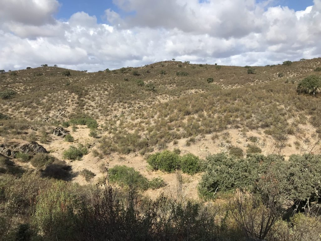 Montería en La Umbría del Abulagar