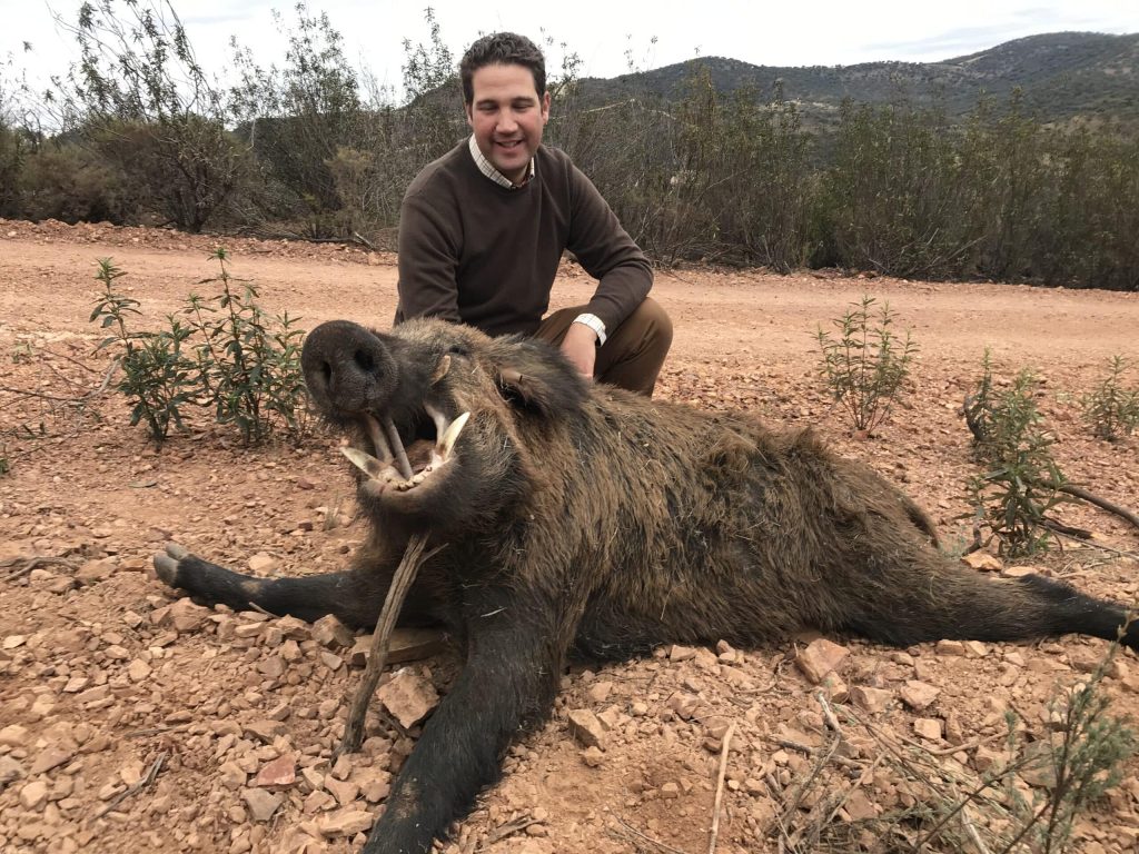 Montería en el Encinar II