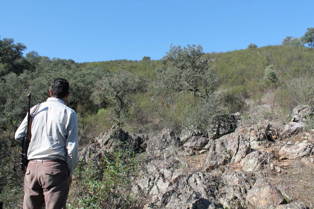 Montería en Fuente del Espino.