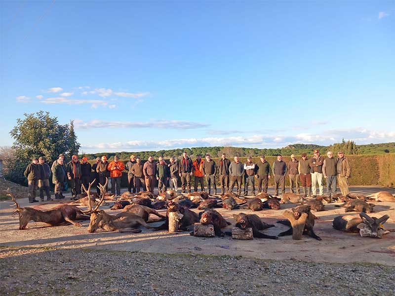 Montería en La Alcaidesa II