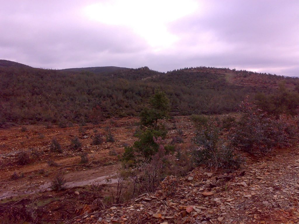 Montería en El Rombo