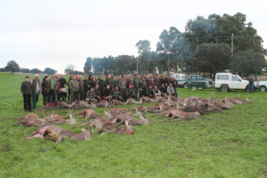 Montería en Esparragal