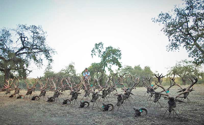 Montería en Los Lázaros