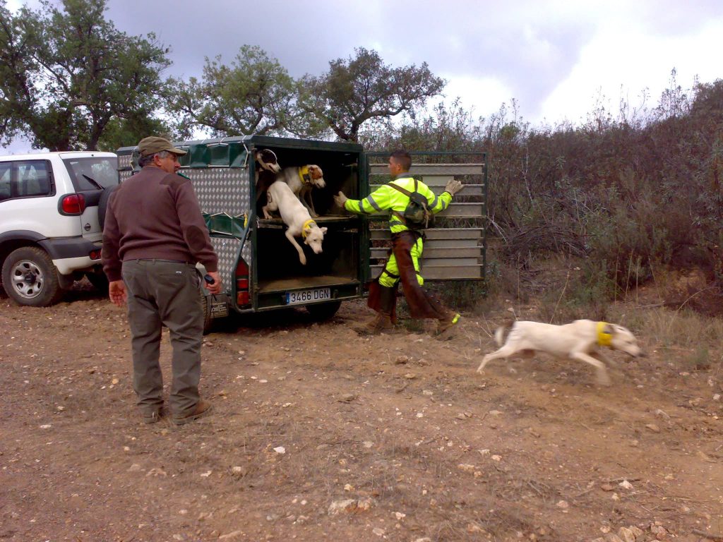 Montería en Las Mayas