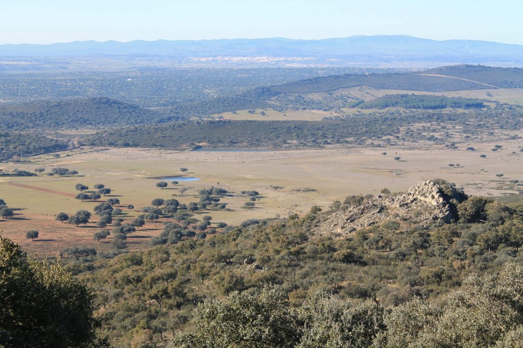 Montería en la Jaca