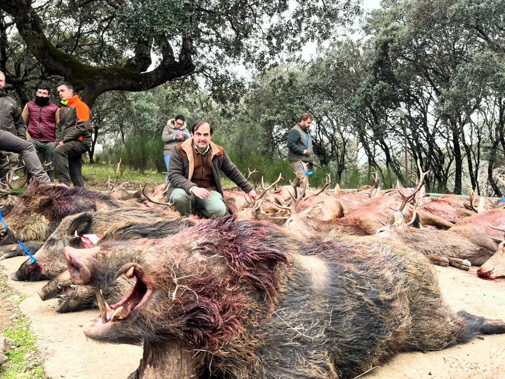 Montería en la solana de Navalconejo