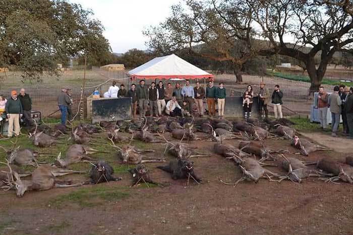 Montería en Navavacas y Perodosma