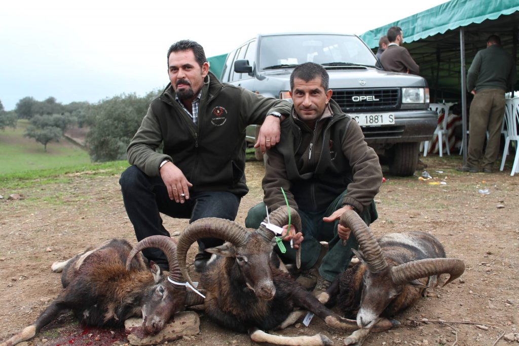 Montería en Robledillo