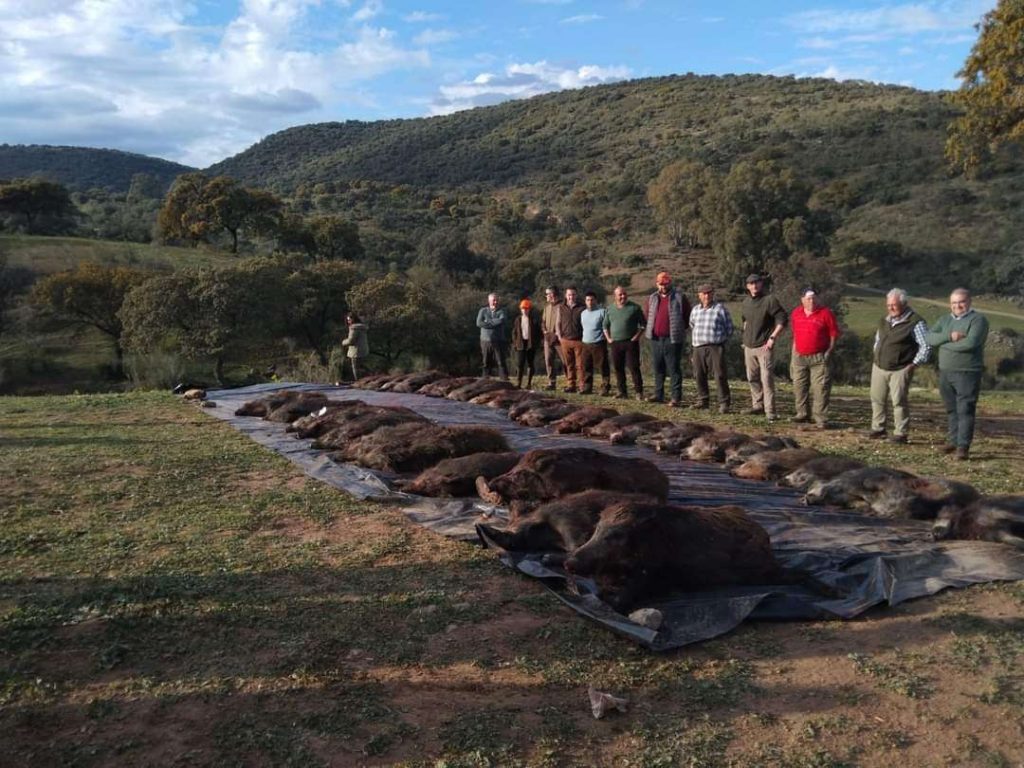 Montería en Palmitero.