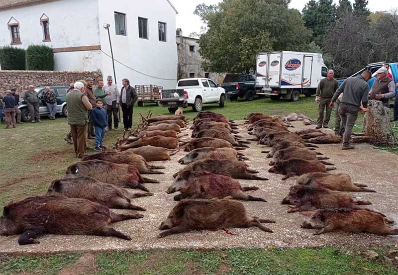 Montería en Cuchillares