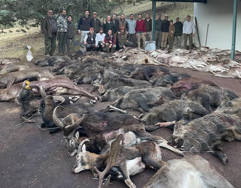 Montería en Tamaral