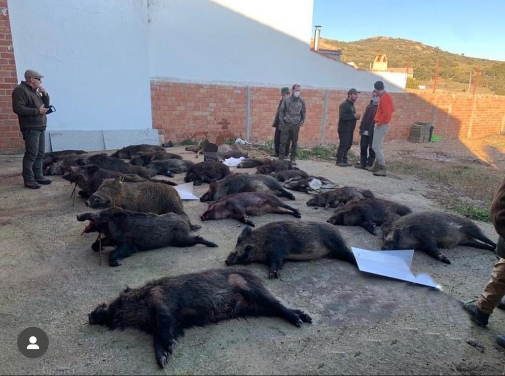 Montería en Umbría de las Morras