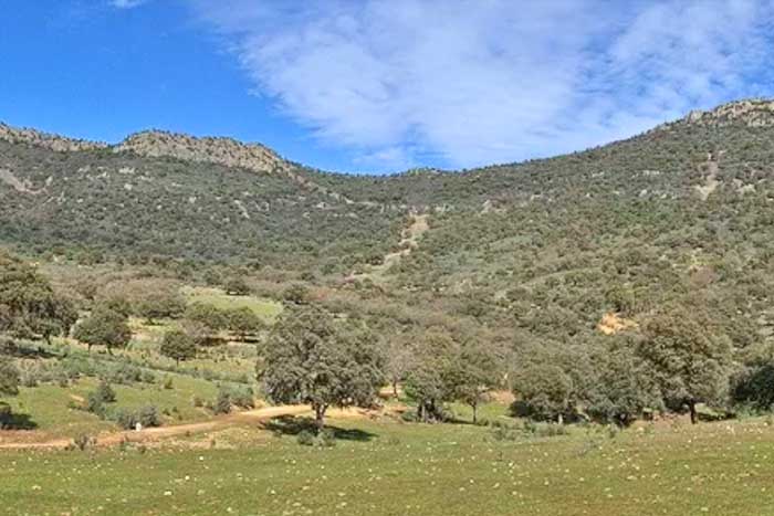Montería en Navalcaballejo