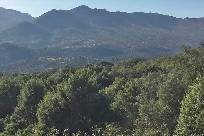 Montería en Valmayor