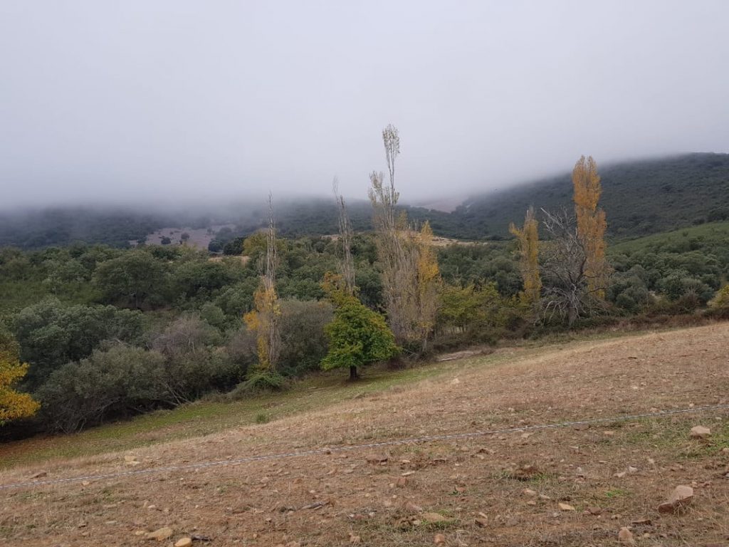 Montería en Los Regajos