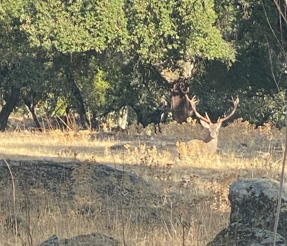 Montería en La Onza Grande