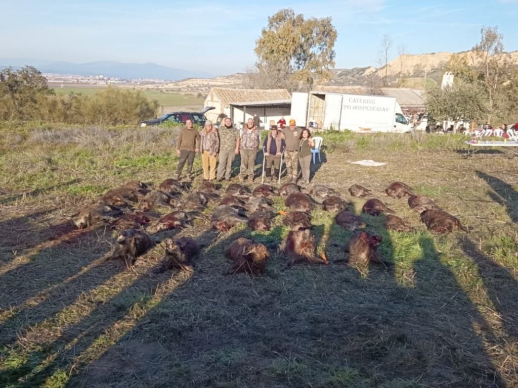 Montería en Sauco - Tejadillo
