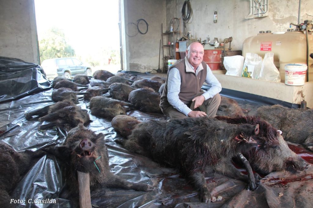 Montería en Dehesa Pérez