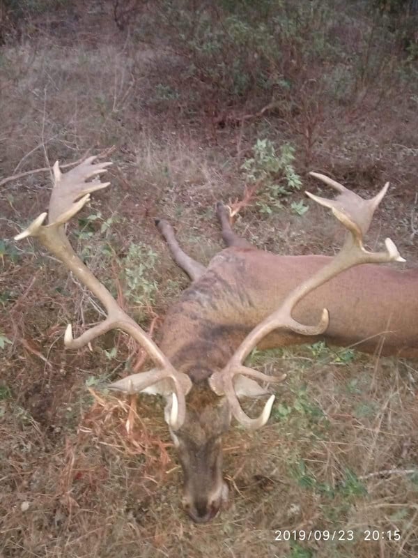 Montería en Los Hocinos