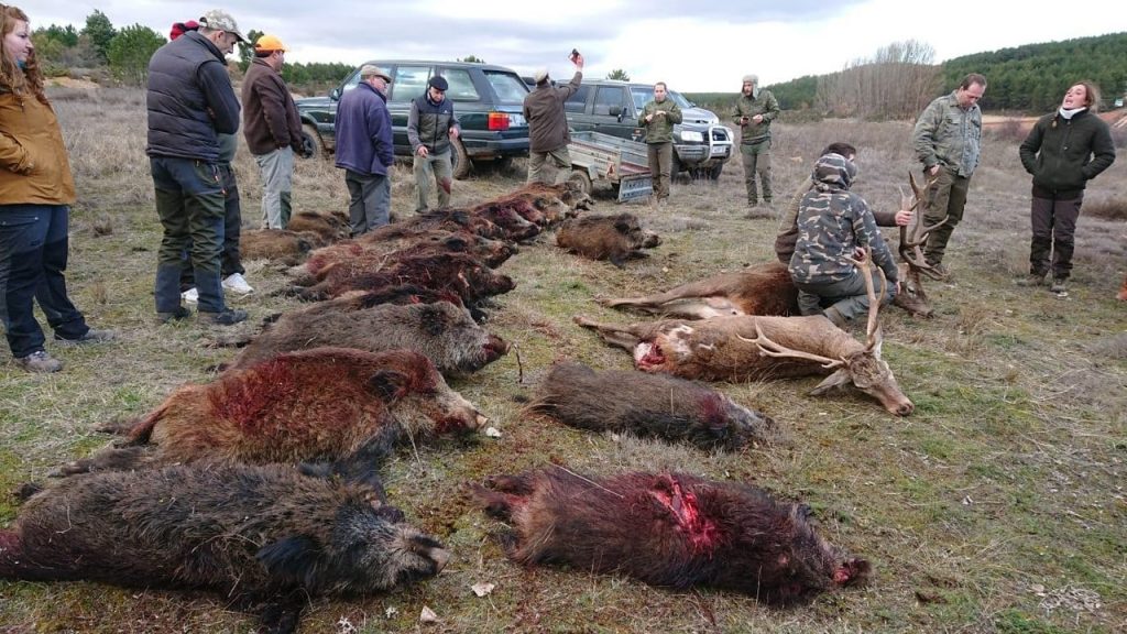 Montería en Las Dehesas
