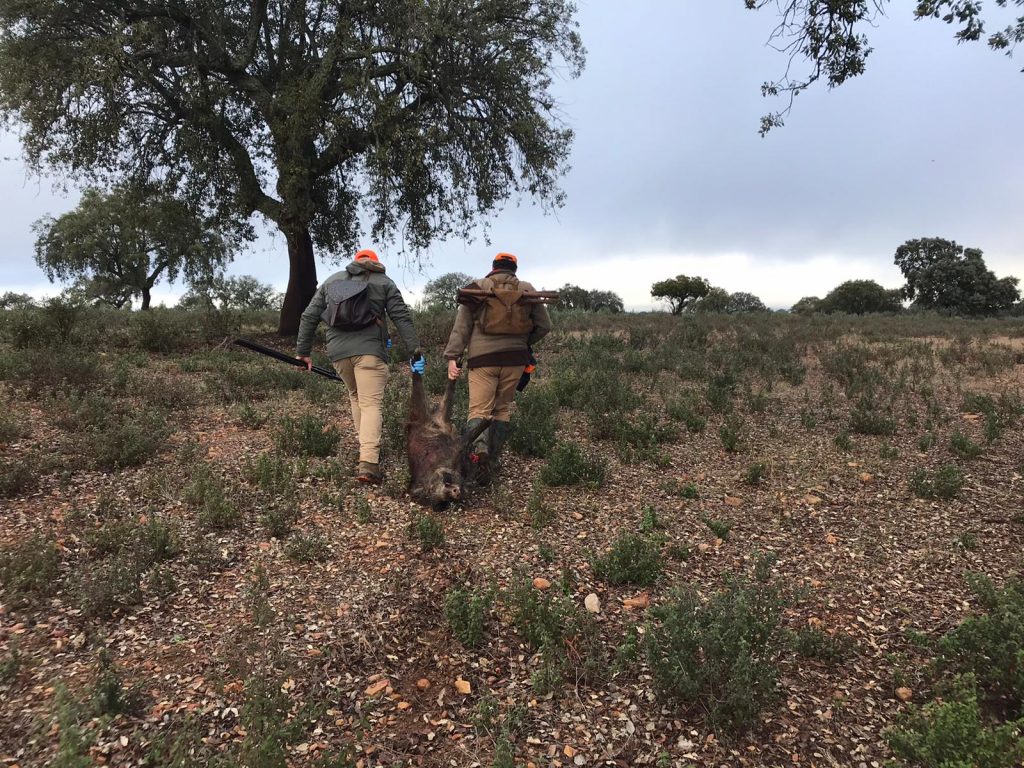 Montería en Contrastada