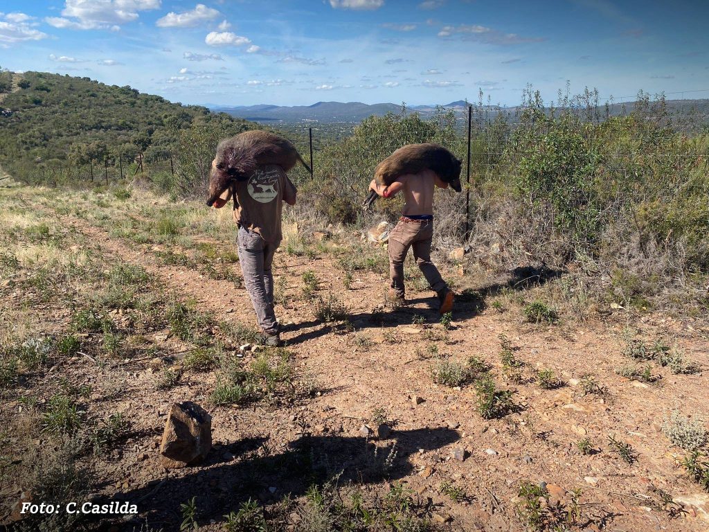Montería en El Risque